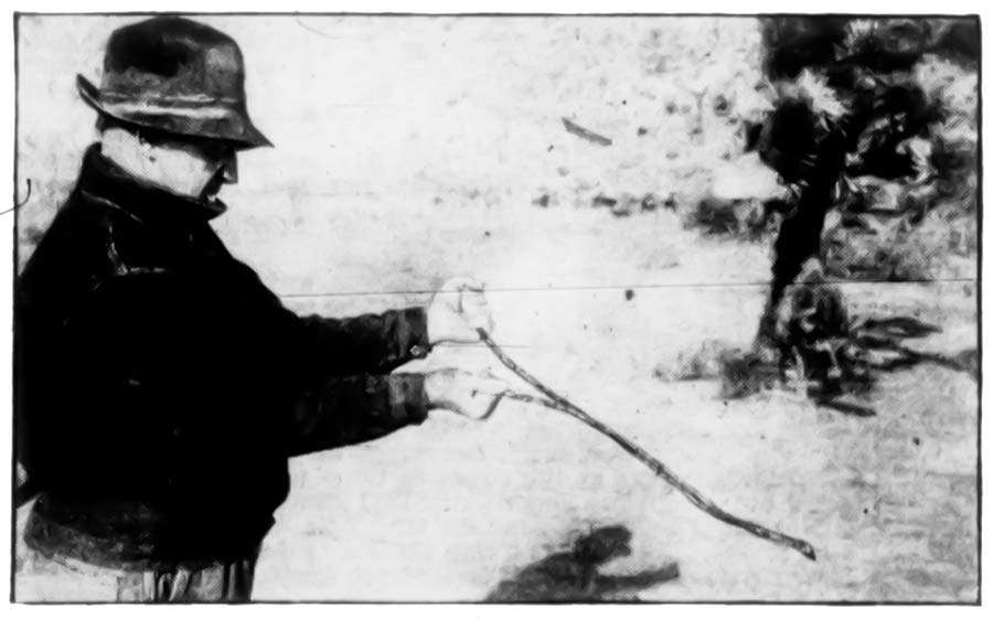 A dowser at work