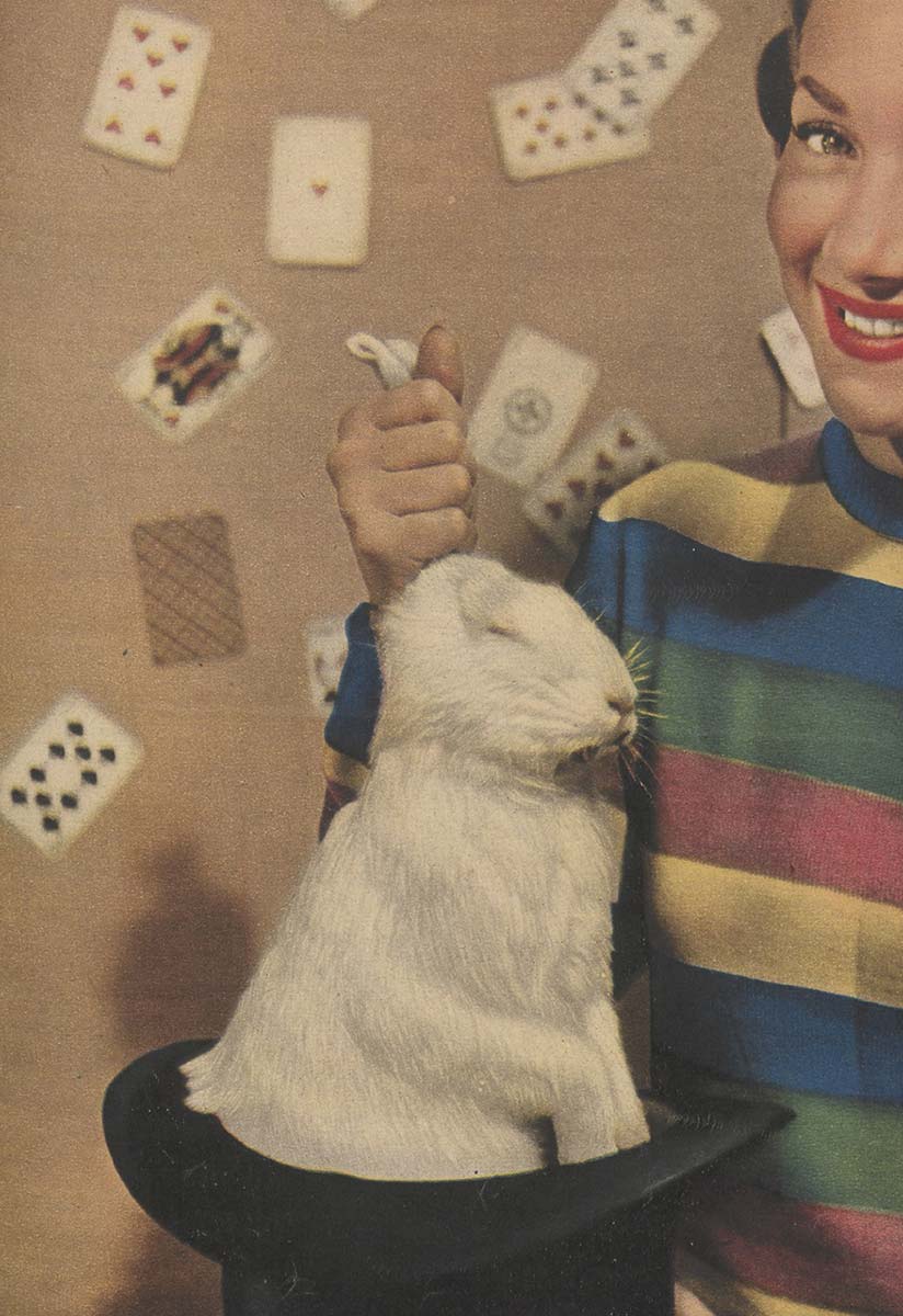 The Rabbit Prophecy
